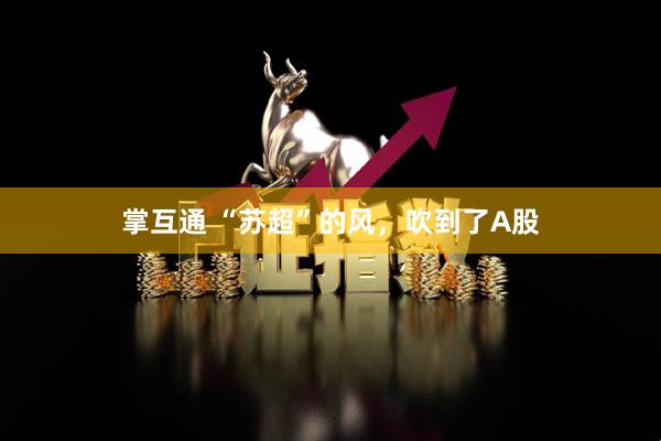 掌互通 “苏超”的风，吹到了A股