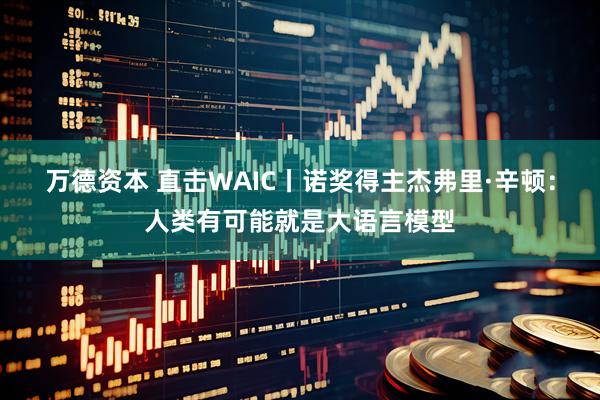 万德资本 直击WAIC丨诺奖得主杰弗里·辛顿：人类有可能就是大语言模型