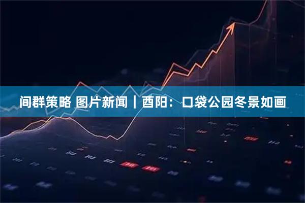 间群策略 图片新闻｜酉阳：口袋公园冬景如画