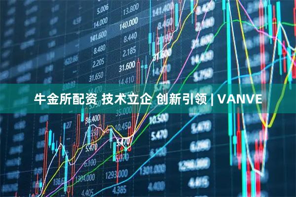 牛金所配资 技术立企 创新引领 | VANVE
