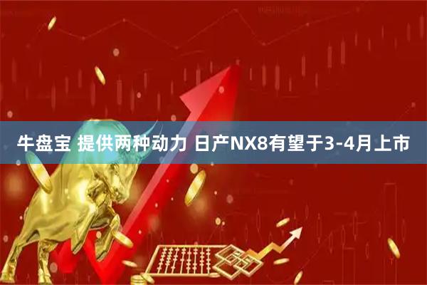 牛盘宝 提供两种动力 日产NX8有望于3-4月上市